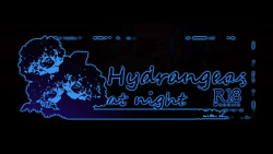Hydrangeas at night